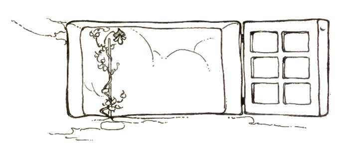 beanstalk window. Free illustration for personal and commercial use.