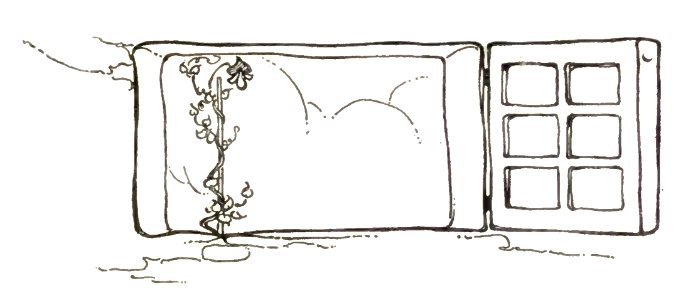 beanstalk window