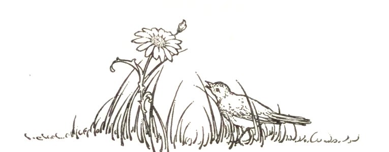 flower and bird. Free illustration for personal and commercial use.