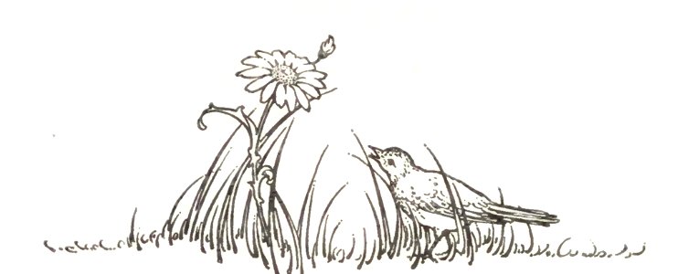 flower and bird