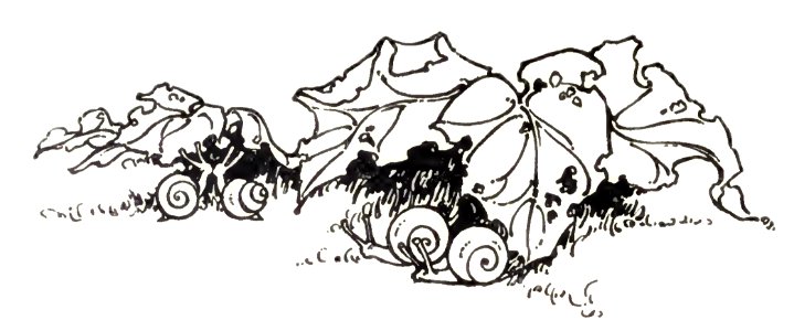 snails. Free illustration for personal and commercial use.