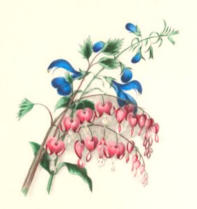 Floral Belles 10
