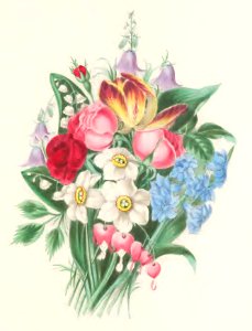 Floral Belles 09