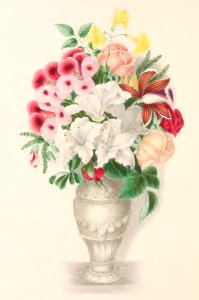 Floral Belles 01