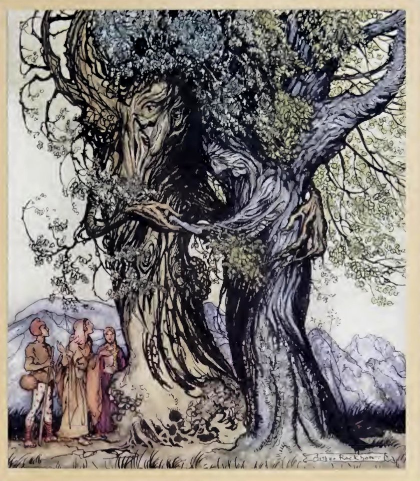 Wonder Book Rackham 37