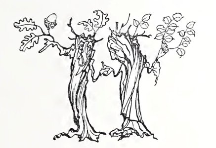 Wonder Book Rackham 35