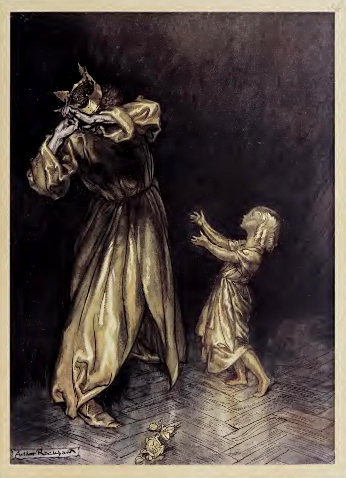 Wonder Book Rackham 16