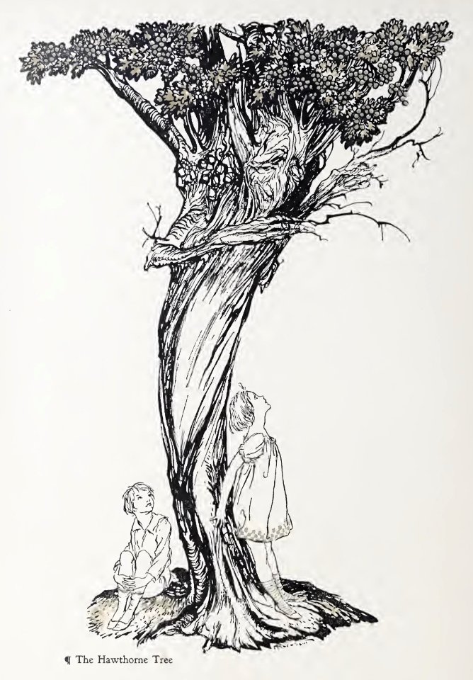 Wonder Book Rackham 06
