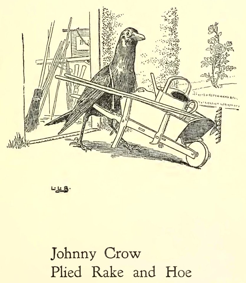 Johnny Crow's Garden Party 062