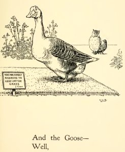 Johnny Crow's Garden Party 035