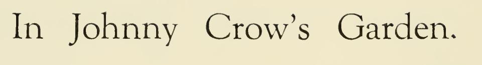 Johnny Crow's Garden Party 022
