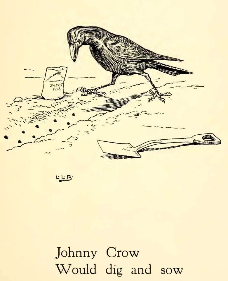 Johnny Crow's Garden Party 007