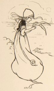 29 The Wild Swans