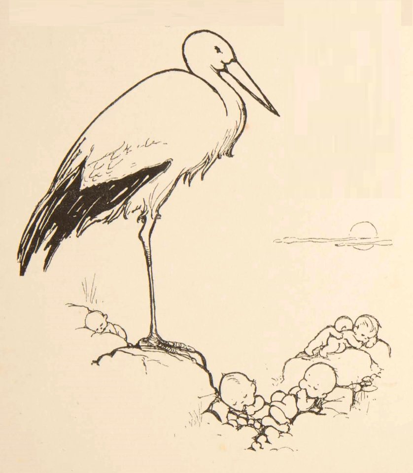 20 The Storks