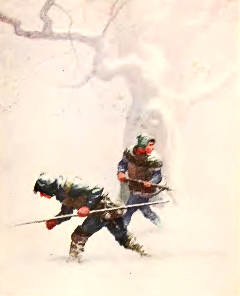 Black Arrow 6