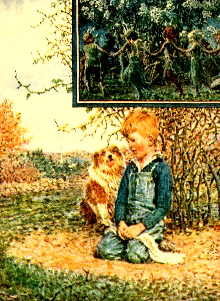 Buddy Jim 17