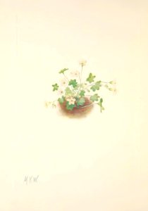 MVW 098
