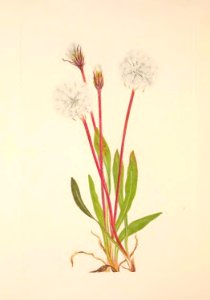 MVW 089