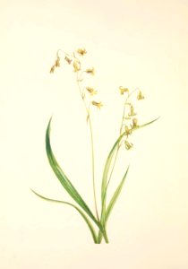 MVW 067
