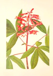 MVW 049