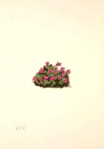 MVW 044