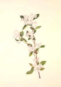MVW 032