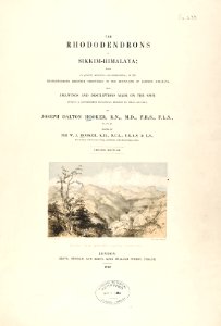 02 Himalayan Rhododendrons