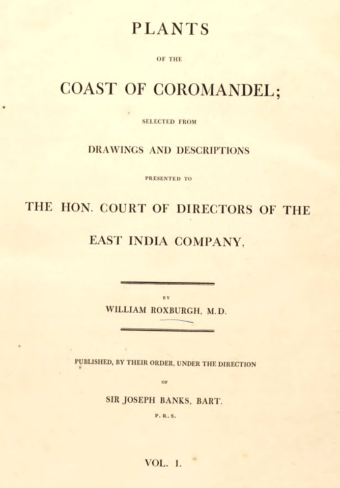 00 Plants of the Coast of Coromandel Vol 1