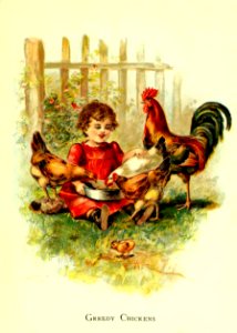 Friendly Animals 35