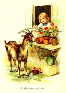 Friendly Animals 28