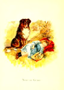 Friendly Animals 24