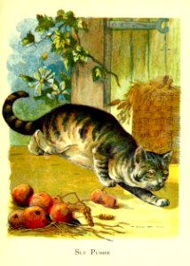 Friendly Animals 21