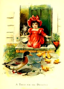 Friendly Animals 19