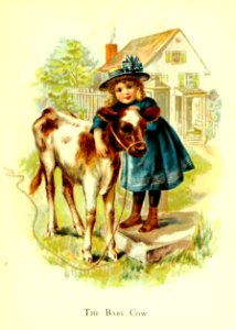 Friendly Animals 13