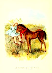 Friendly Animals 12