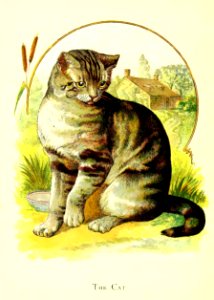 Friendly Animals 10