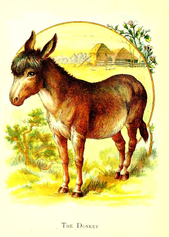 Friendly Animals 04
