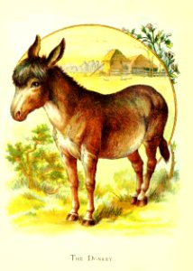 Friendly Animals 04