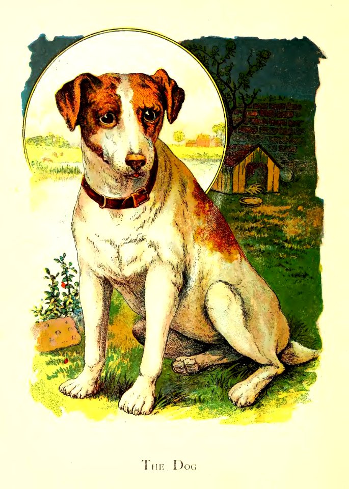Friendly Animals 02