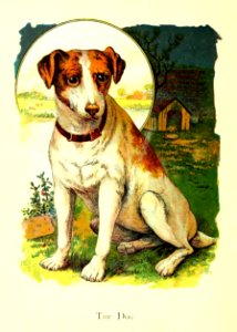 Friendly Animals 02