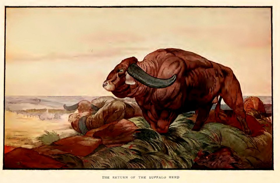 Jungle Book 12