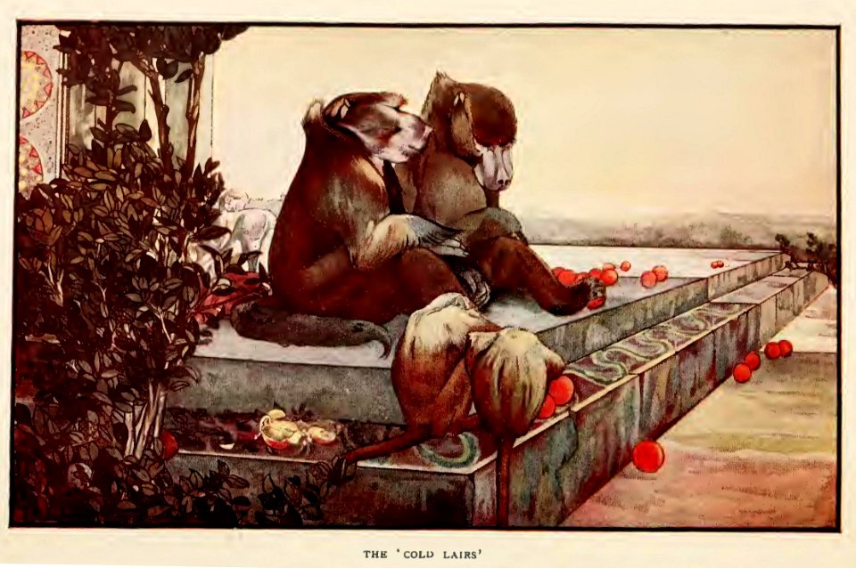 Jungle Book 07