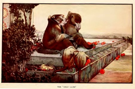 Jungle Book 07