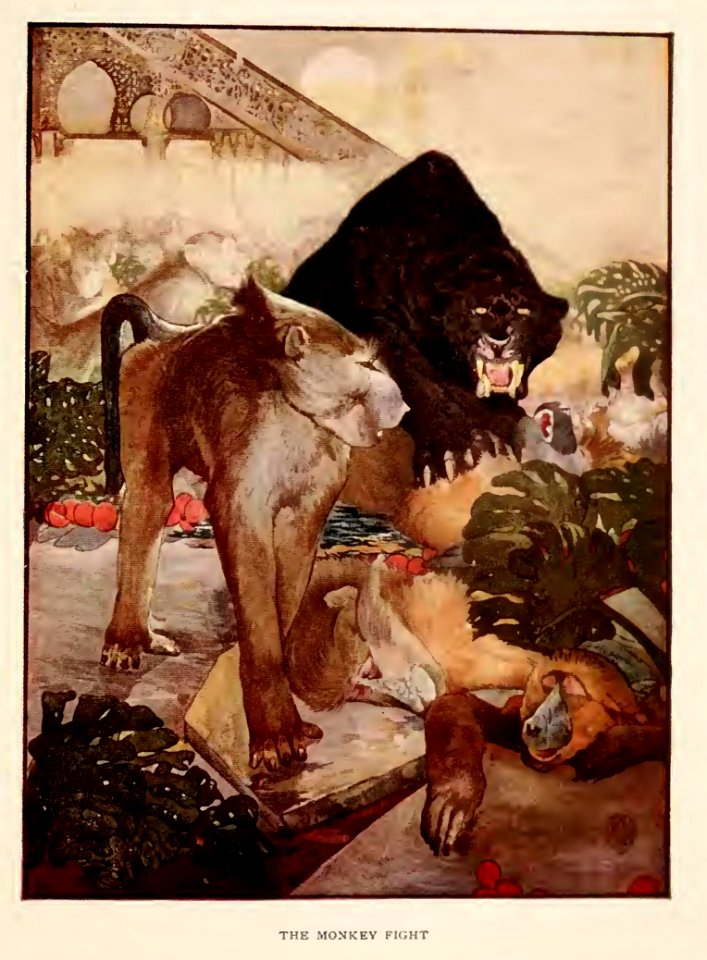 Jungle Book 08