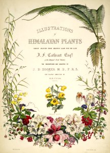 Himalayan Plants 01 title page