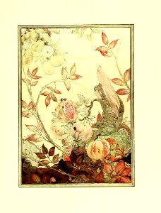 The Fables of Aesop 14