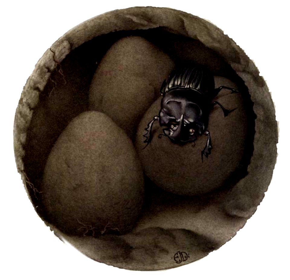 The Spanish Copris