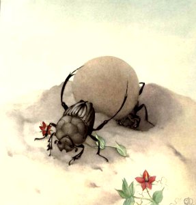 The Sisyphus