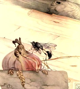 A Mason-Wasp