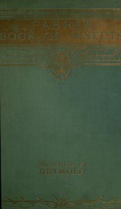 01 Cover